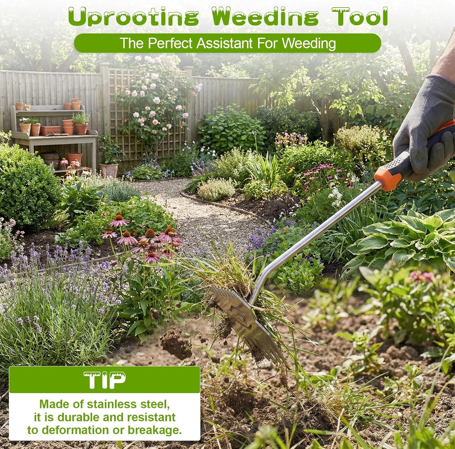 69ecdd5b8c895ced532f4ba9d01a206b75af64863f95e6364099f.jpg Garden Weed Tool,2026 Portable Weeding Tool,Stainless Steel Hand Weeder Tool,Adopt Anti slip Rubber handle,conforms to ergonomic curves,Suitable For Vegetable Cultivation And Horticulture on Farms