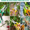 69ee280a2fba2d1fc4d96d94684c8058d3cfef15faee7f0f2c786.jpg Garden Pruning Shears 3 Pack Gardening Shears Garden Scissors Stainless Steel Plant Flower Scissors Clippers Pruning Shears tijeras de jardinería