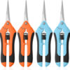 69ee280a5e6007ae0e43c9baa9598d6f97911372363bce751d470.jpg Garden Pruning Shears 3 Pack Gardening Shears Garden Scissors Stainless Steel Plant Flower Scissors Clippers Pruning Shears tijeras de jardinería